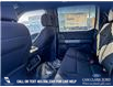 2025 Ford F-150 XLT (Stk: 25T7957) in Red Deer - Image 22 of 24