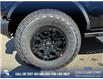 2025 Ford Bronco Badlands (Stk: 25S8460) in Red Deer - Image 6 of 25