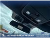 2025 Ford F-150 XLT (Stk: 25T7069) in Red Deer - Image 20 of 24