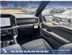 2025 Ford F-150 XLT (Stk: 25T7069) in Red Deer - Image 24 of 24