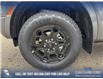 2025 Ford Ranger XLT (Stk: 25T4255) in Red Deer - Image 6 of 24