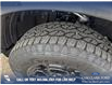 2025 Ford Ranger XLT (Stk: 25T4255) in Red Deer - Image 7 of 24