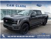 2025 Ford F-150 Lariat (Stk: 25T8818) in Red Deer - Image 1 of 24