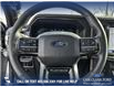 2025 Ford F-150 Platinum (Stk: 25AT5117) in Airdrie - Image 14 of 25