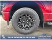 2025 Ford F-150 XLT (Stk: 25T0103) in Olds - Image 6 of 25
