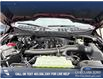 2025 Ford F-150 XLT (Stk: 25T0103) in Olds - Image 8 of 25