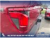 2025 Ford F-150 XLT (Stk: 25T0103) in Olds - Image 12 of 25