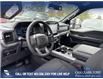 2025 Ford F-150 XLT (Stk: 25T0103) in Olds - Image 13 of 25