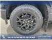 2025 Ford F-150 XLT (Stk: 25AT4766) in Airdrie - Image 6 of 25