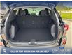 2025 Ford Escape Active (Stk: 25S9353) in Red Deer - Image 12 of 25