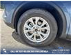 2025 Ford Escape Active (Stk: 25S9508) in Red Deer - Image 6 of 25