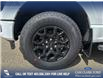 2025 Ford F-150 XLT (Stk: 25T0372) in Olds - Image 6 of 25