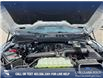 2025 Ford F-150 XLT (Stk: 25T0372) in Olds - Image 10 of 25