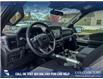 2025 Ford F-150 XLT (Stk: 25T0372) in Olds - Image 13 of 25