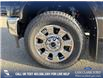 2025 Ford F-350 King Ranch (Stk: 25T1900) in Red Deer - Image 6 of 24