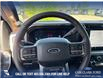 2025 Ford F-350 King Ranch (Stk: 25T1900) in Red Deer - Image 13 of 24