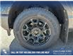 2025 Ford F-150 XLT (Stk: 25AT2084) in Airdrie - Image 6 of 25