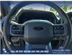 2025 Ford F-150 XLT (Stk: 25AT2084) in Airdrie - Image 14 of 25