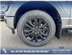 2025 Ford F-150 XLT (Stk: 25T2381) in Red Deer - Image 6 of 24