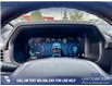 2025 Ford F-150 XLT (Stk: 25T2381) in Red Deer - Image 14 of 24