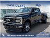 2025 Ford F-350 Platinum (Stk: 25T7568) in Red Deer - Image 1 of 24