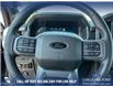 2025 Ford F-150 XLT (Stk: 25AT3983) in Airdrie - Image 14 of 25