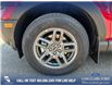 2025 Ford Bronco Sport Big Bend (Stk: 25AT3217) in Airdrie - Image 6 of 25