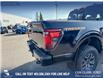 2025 Ford F-150 Tremor (Stk: 25T8962) in Red Deer - Image 11 of 24