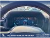 2025 Ford F-150 Tremor (Stk: 25T8962) in Red Deer - Image 14 of 24