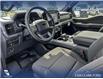 2025 Ford F-150 XLT (Stk: 25AT9814) in Airdrie - Image 13 of 25 2025 Ford F-150 XLT (Stk: 25AT9814) in Airdrie - Image 13 of 25