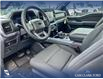 2025 Ford F-150 XLT (Stk: 25AT4130) in Airdrie - Image 13 of 25 2025 Ford F-150 XLT (Stk: 25AT4130) in Airdrie - Image 13 of 25