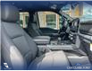 2025 Ford F-150 XLT (Stk: 25CT4971) in Canmore - Image 23 of 26