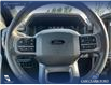 2025 Ford F-150 XLT (Stk: 25AT3720) in Airdrie - Image 14 of 25