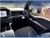2025 Ford F-150 STX (Stk: 25T2598) in Red Deer - Image 24 of 24