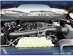2025 Ford F-150 STX (Stk: 25T3233) in Red Deer - Image 8 of 24