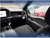 2025 Ford F-150 STX (Stk: 25T3233) in Red Deer - Image 19 of 24