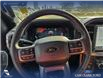 2025 Ford F-150 XLT (Stk: 25T7165) in Red Deer - Image 13 of 24