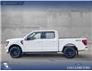 2025 Ford F-150 XLT (Stk: 25AT9957) in Airdrie - Image 3 of 25