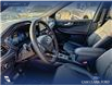 2025 Ford Escape ST-Line Elite (Stk: 25S2578) in Red Deer - Image 13 of 25