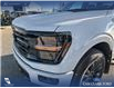 2025 Ford F-150 XLT (Stk: 25T8269) in Red Deer - Image 8 of 24