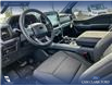 2025 Ford F-150 XLT (Stk: 25AT4262) in Airdrie - Image 13 of 25 2025 Ford F-150 XLT (Stk: 25AT4262) in Airdrie - Image 13 of 25
