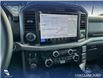 2025 Ford F-150 XLT (Stk: 25AT4262) in Airdrie - Image 19 of 25 2025 Ford F-150 XLT (Stk: 25AT4262) in Airdrie - Image 19 of 25
