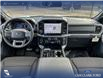 2025 Ford F-150 XLT (Stk: 25AT4262) in Airdrie - Image 24 of 25 2025 Ford F-150 XLT (Stk: 25AT4262) in Airdrie - Image 24 of 25