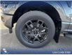 2025 Ford F-150 STX (Stk: 25T2750) in Red Deer - Image 6 of 24