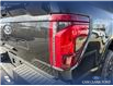 2025 Ford F-150 XLT (Stk: 25AT3372) in Airdrie - Image 11 of 25