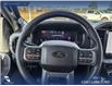 2025 Ford F-150 XLT (Stk: 25T8854) in Red Deer - Image 13 of 24
