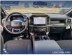 2025 Ford F-150 STX (Stk: 25T1278) in Red Deer - Image 23 of 24