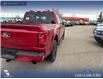 2025 Ford F-150 XLT (Stk: 25T7214) in Red Deer - Image 11 of 24