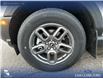 2025 Ford Bronco Sport Big Bend (Stk: 25AS2914) in Airdrie - Image 6 of 25 2025 Ford Bronco Sport Big Bend (Stk: 25AS2914) in Airdrie - Image 6 of 25