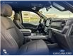 2025 Ford F-150 XLT (Stk: 25AT7159) in Airdrie - Image 22 of 25